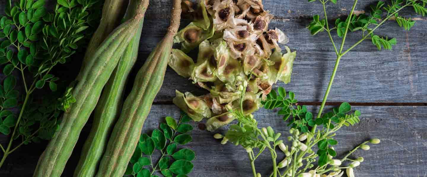 Kas yra Moringa arbata, kokie yra Moringos arbatos pranašumai?